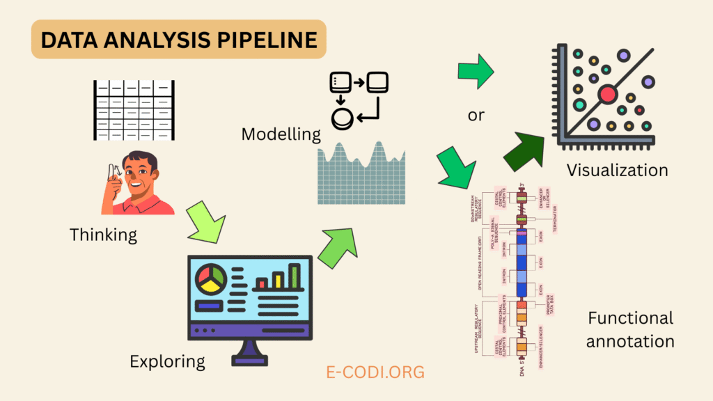 A flowchart of data analysis pipeline in biology