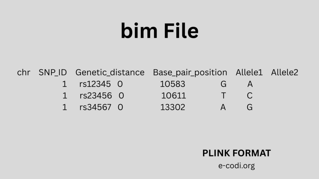 PLINK FORMAT BIM FILE E-CODI