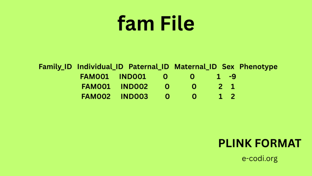 PLINK FORMAT FAM FILE E-CODI